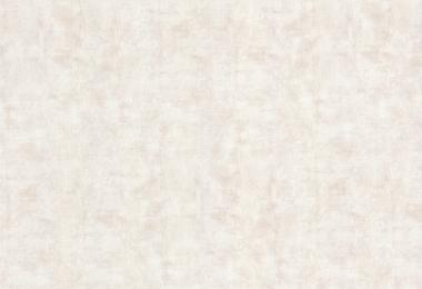 White bronzed leather